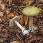 desktop_6ufk_13-depositphotos-24-900x600.jpeg