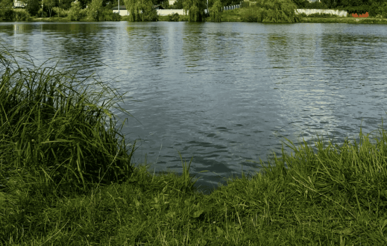 zobrazhennia_2025-04-23_123843421-900x571-1.png