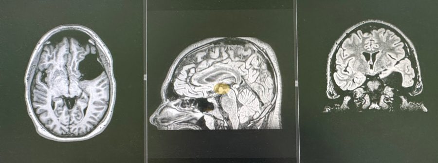515318585_1279687320833054_5738179968709142703_n-900x335.jpg